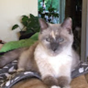 Meet your Posher, Caryl